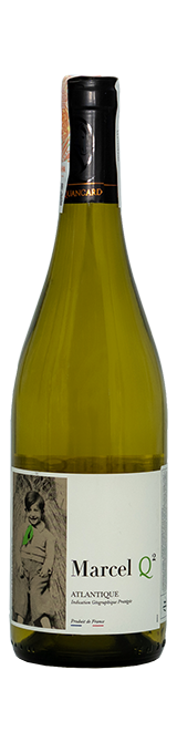 Marcel Q² IGP Atlantique blanc Cheval Quancard S.A. - Сеть винных магазинов Wine Gallery 