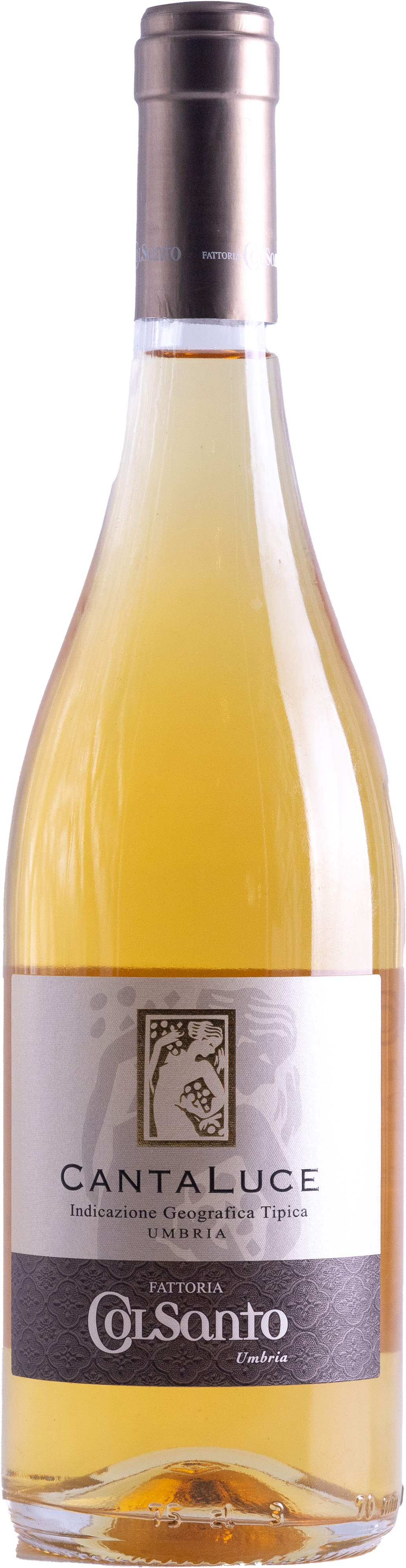 Cantaluce Trebbiano Spoletino IGT Fattoria ColSanto - Сеть винных магазинов Wine Gallery 
