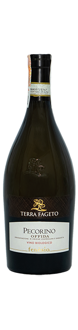 Fenesia Pecorino Offida  Terra Fageto - Сеть винных магазинов Wine Gallery 