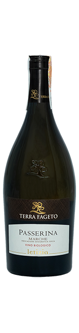 Letizia Passerina Terra Fageto - Сеть винных магазинов Wine Gallery 