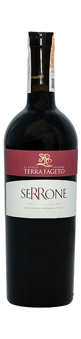 Serrone Marche Rosso Terra Fageto - Сеть винных магазинов Wine Gallery 